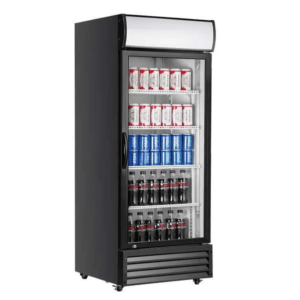 p600waSingle Glass Door Drink Fridge 1