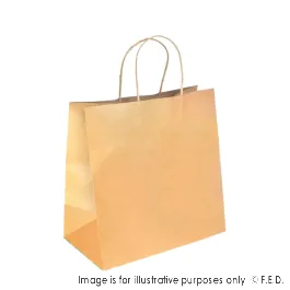 PakMax Large Twist Handle Kraft Paper Bags - RPRR-120-L