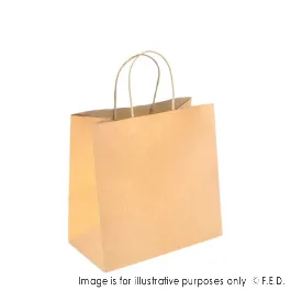 PakMax Small Twist Handle Kraft Paper Bags - RPFR-120-S