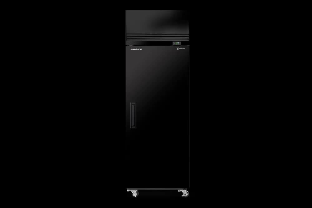 SKFT650NS A Black Back Resampled