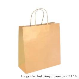 PakMax Medium Twist Handle Kraft Paper Bags - RPFR-120-M