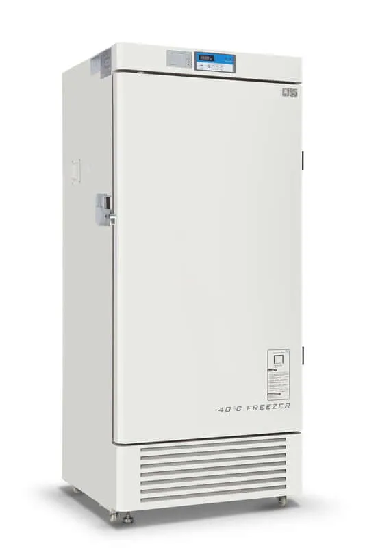 600x600 1 5f3f4237 dc27 43d4 aa00 3b5db7e819f6 537x.progressive
