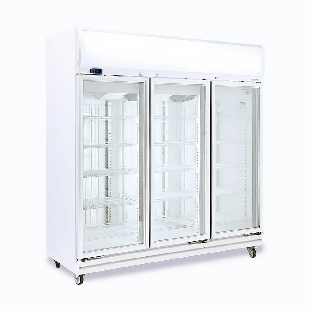 Triple Door Display Freezer