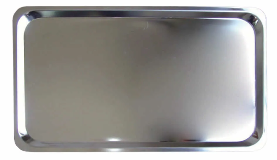 STAINLESS STEEL TRAY GN FOR OVEN 530 325X10 R11010