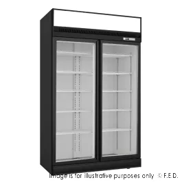 Thermaster Black Upright Double Glass Door Freezer - LG-1006DF
