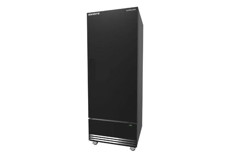 SKB600NS A Resampled