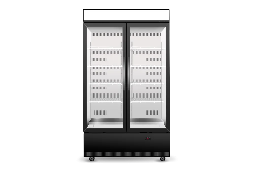 BCE1200N AC Black White Resampled 1