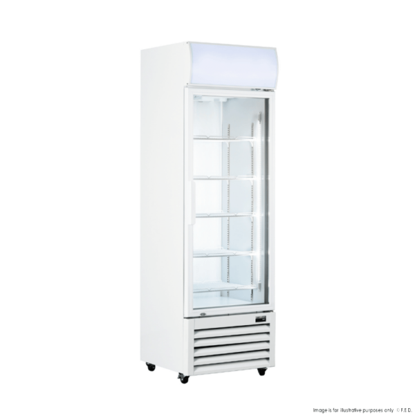 LG-370P F.E.D Thermaster 370L 1 Glass Door Colourbond Upright Drink Fridge - Image 13