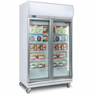 Double Door Display Freezer