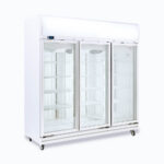 Triple Door Display Freezer