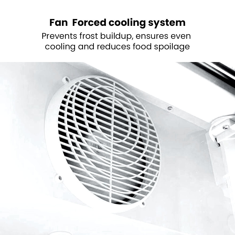 Thermaster Single Glass Door Colourbond Upright Drink Fridge White - LG-540P - Image 4