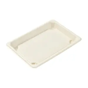 PakMax Disposal Sugarcane Sushi Tray & Lid